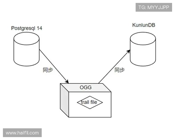 Linux用户必看！PG客户端安装与配置完整流程详解确保连接稳定无误